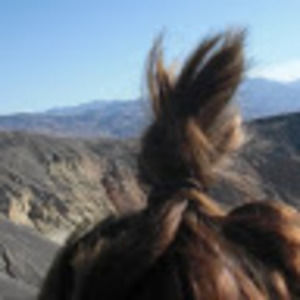 Meet your Posher, Katherine